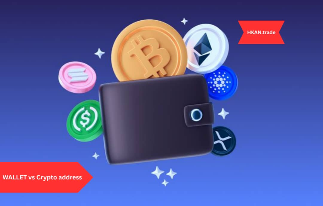 Wallet vs. Crypto Address: What’s the Difference?