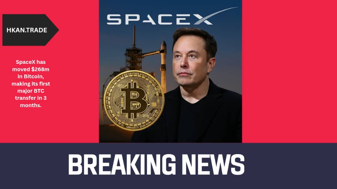 SpaceX Moves $268 Million in Bitcoin After Three Month Pause